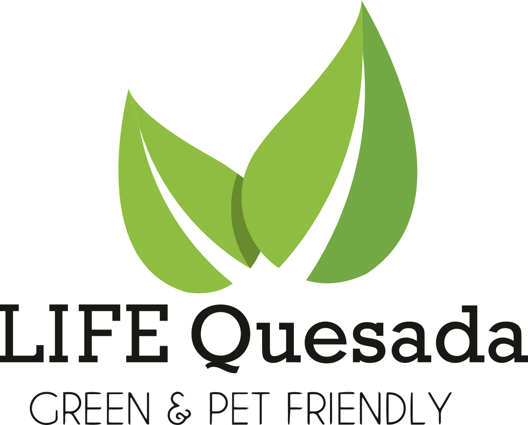 Life quesada